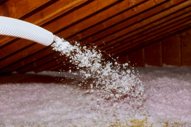 Best Insulation for Specific Applications in Cottageville, SC